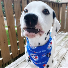 Load image into Gallery viewer, Jays Bandana