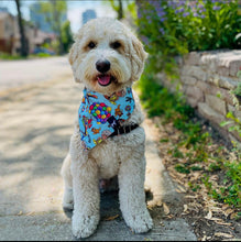 Load image into Gallery viewer, UP Bandana