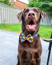 Load image into Gallery viewer, Hero Bow