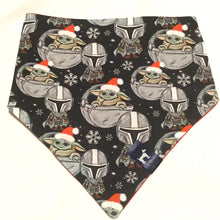 Load image into Gallery viewer, Little One Bandana