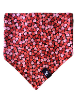 Load image into Gallery viewer, Crazy in Love Bandana