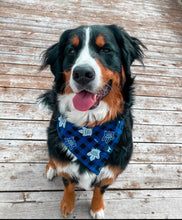 Load image into Gallery viewer, TML Plaid Bandana