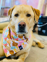 Load image into Gallery viewer, Icecream Cone Bandana