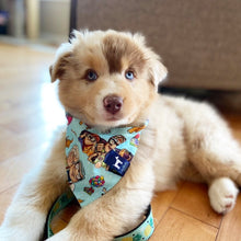 Load image into Gallery viewer, UP Bandana
