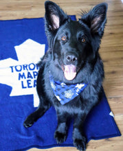 Load image into Gallery viewer, TML Plaid Bandana