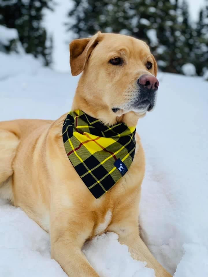 Plaid Bandanas