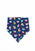 RV Bandana