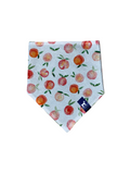 Peachy Bandana