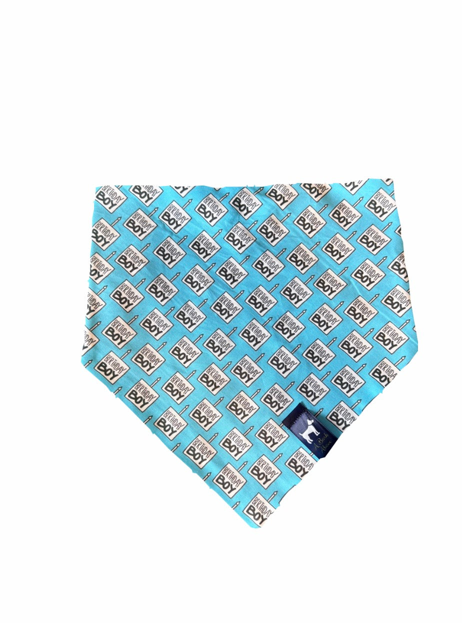 Birthday Boy Bandana
