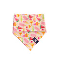 Summer Cooldown Bandana