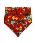 Molly Bandana