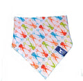 Frog Bandana