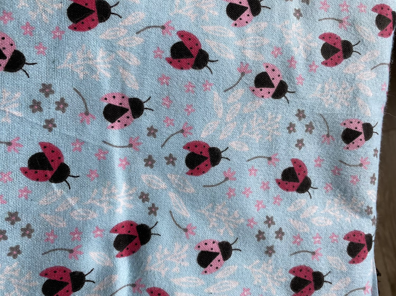 Lady Bug Bandana
