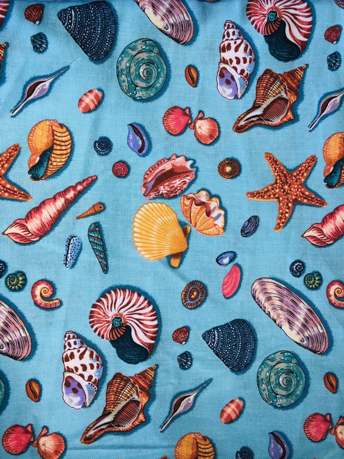 Sea Shell Bandana