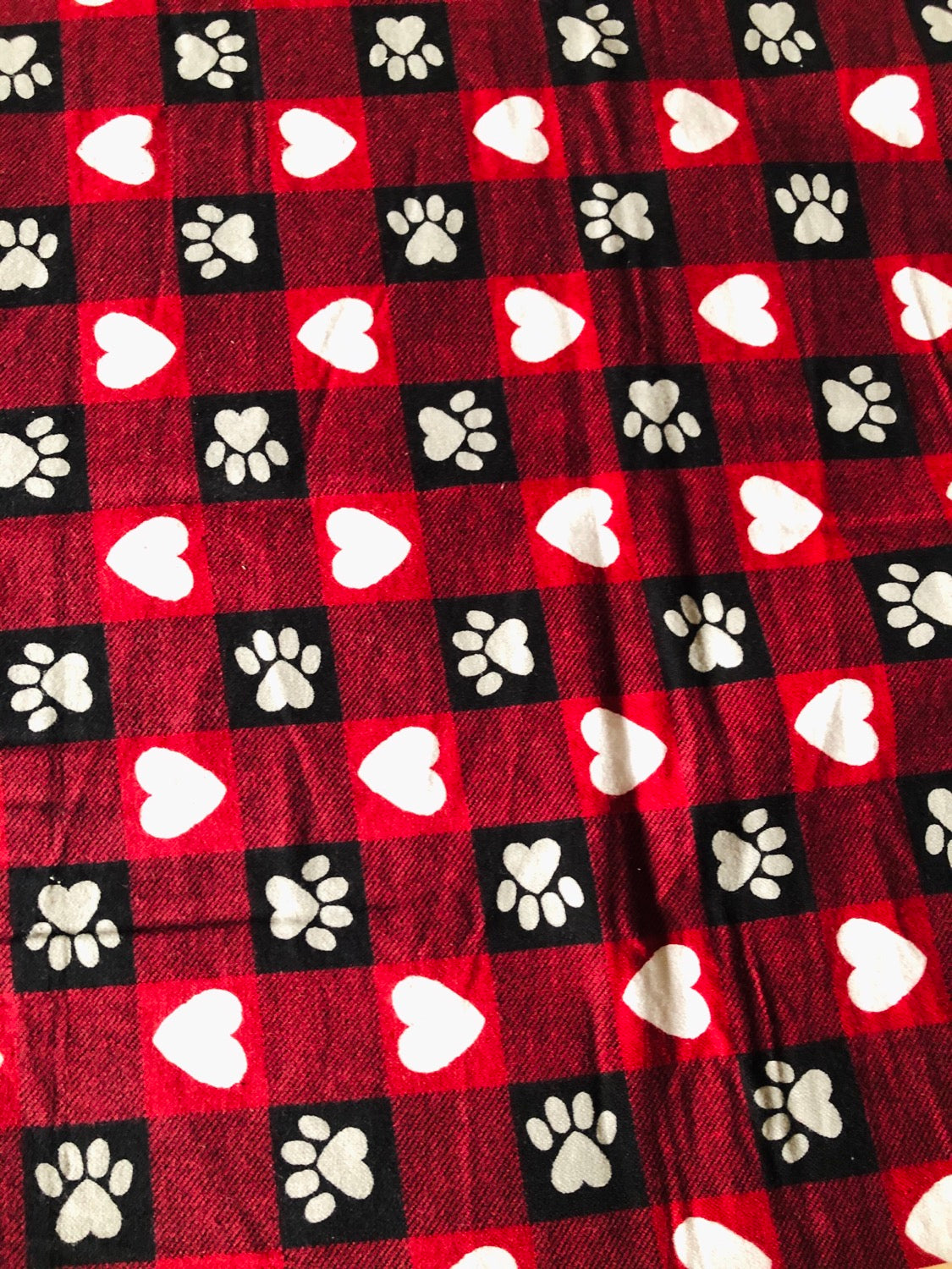 Pawesome Plaid Bandana