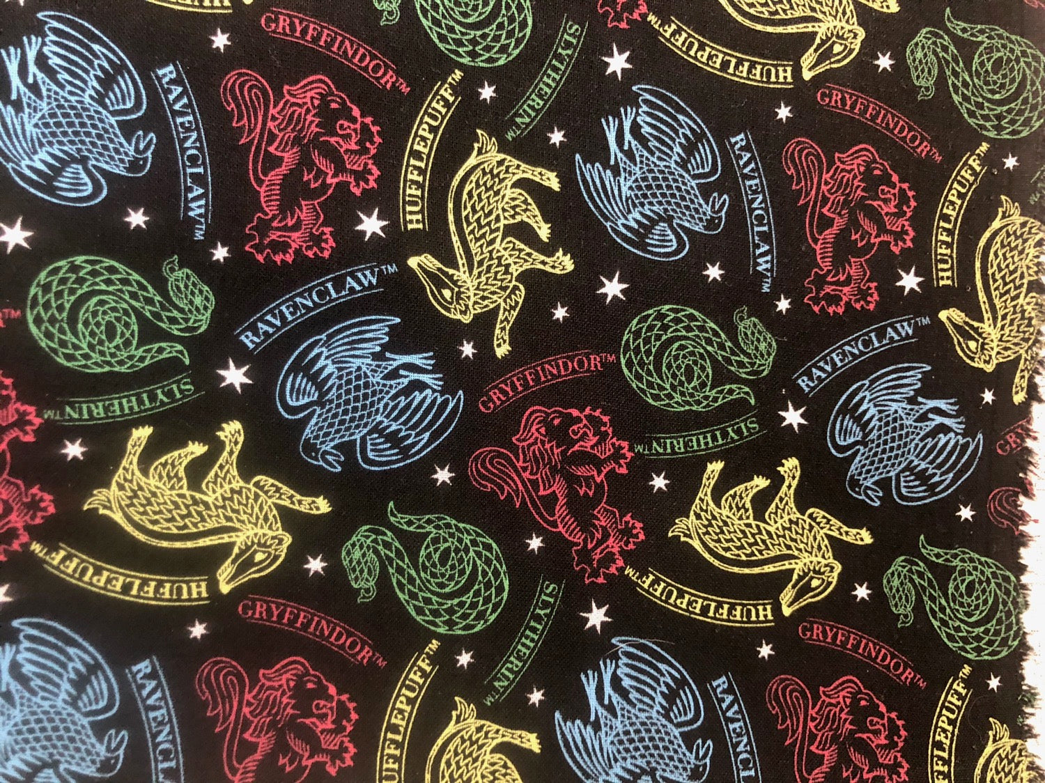 Wizard Divisions Bandana