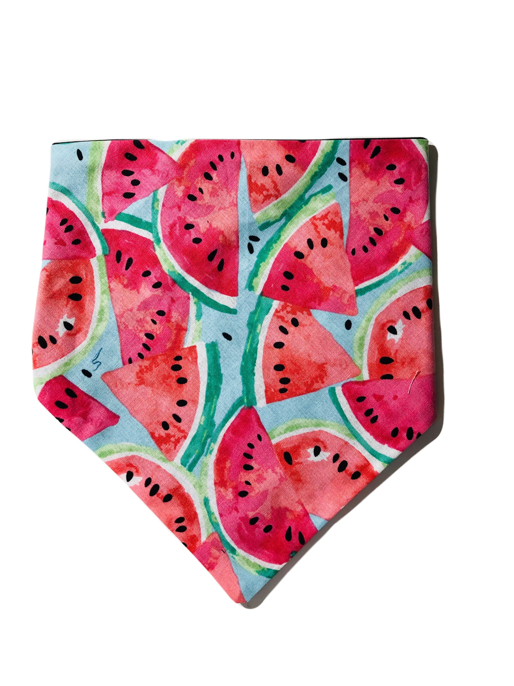 Watermelon Craze Bandana