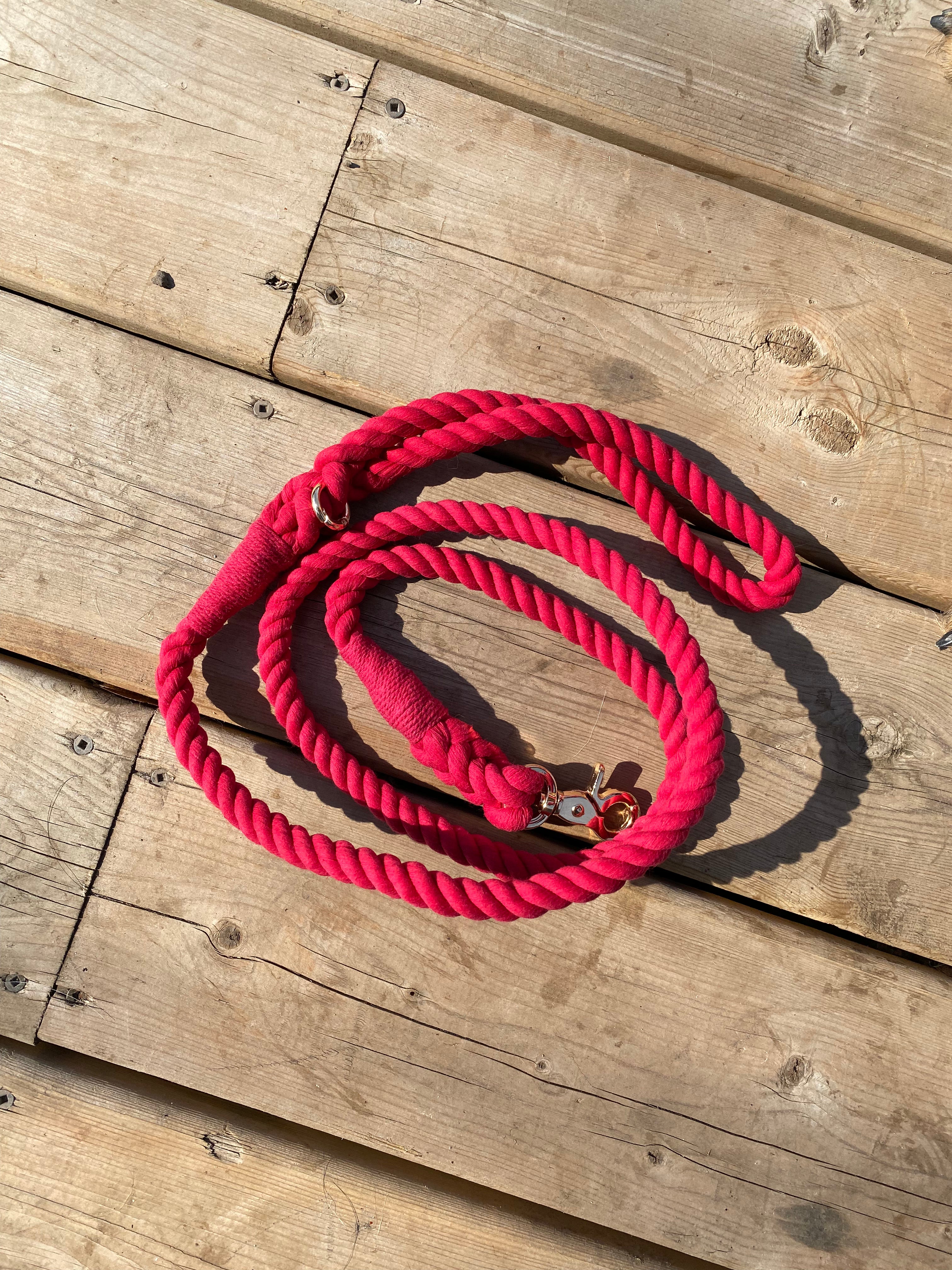 Leashes