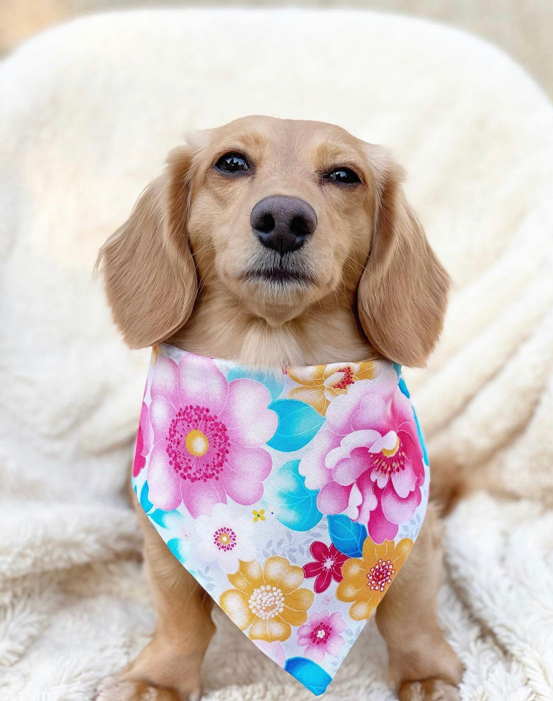 Spring Meadows Bandana