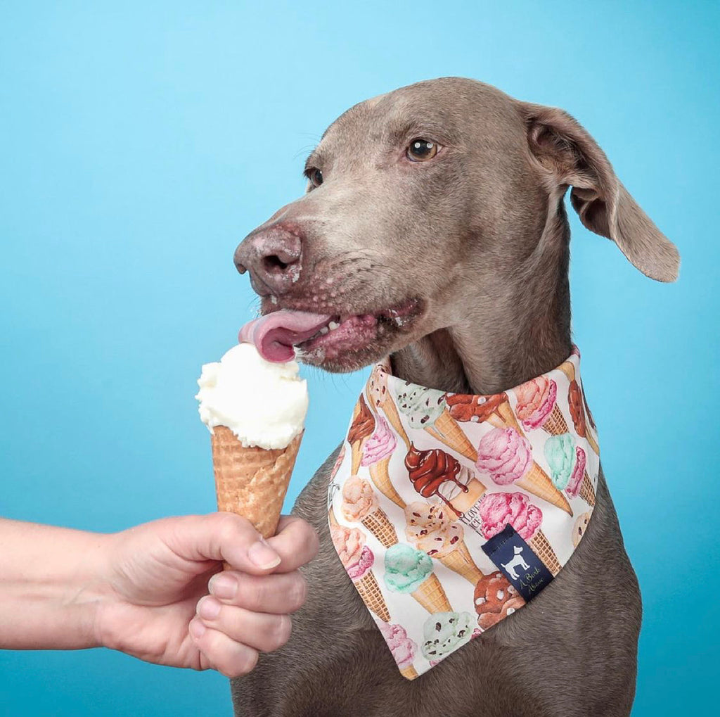 Icecream Cone Bandana