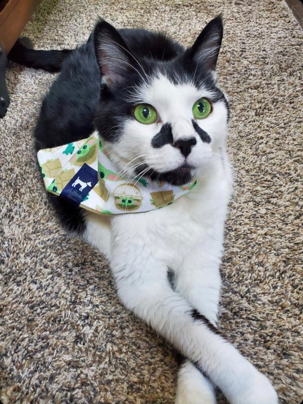 Baby Alien Bandana