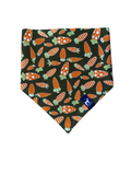 Carrot Craze Bandana