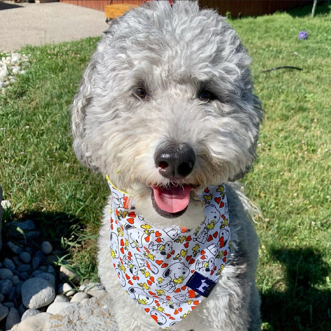 Snoop Love Bandana