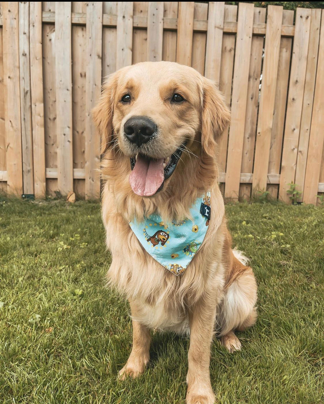 Toys Bandana