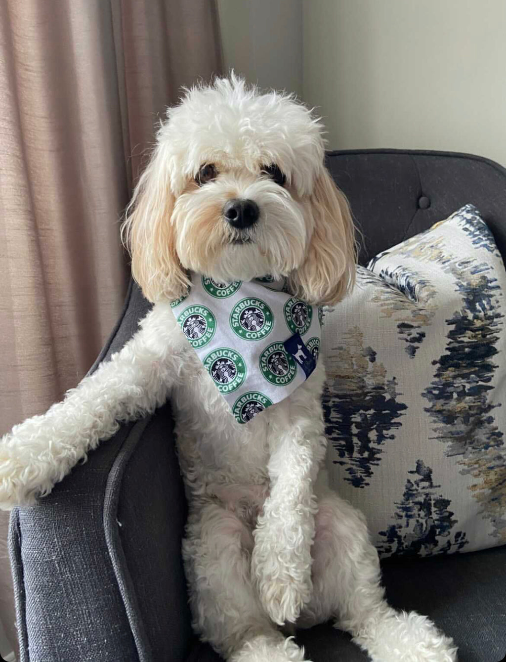 Coffee lovers Bandana