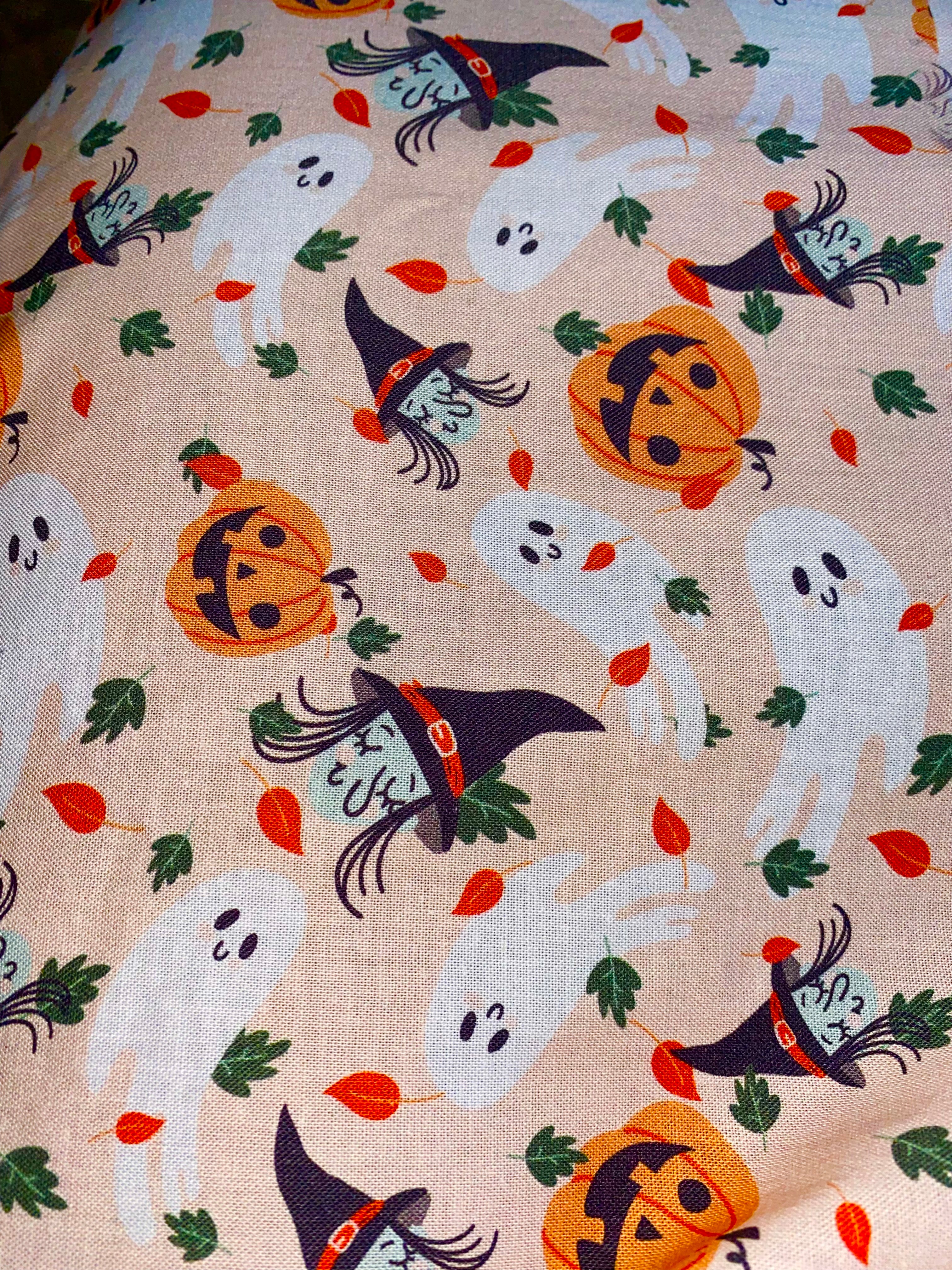 Halloween Spook Bandana