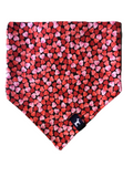Crazy in Love Bandana