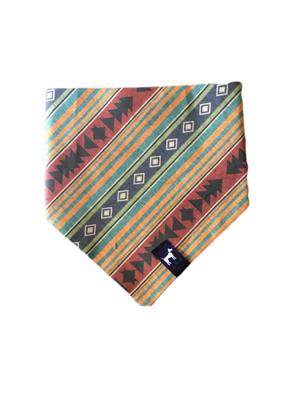 Western vibes Bandana