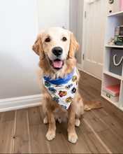 Load image into Gallery viewer, Wizard Houses Bandana
